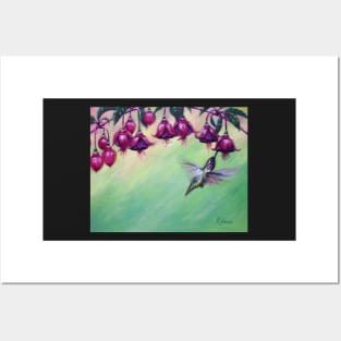 Pink and Green Hummingbird Fuchsia Posters and Art